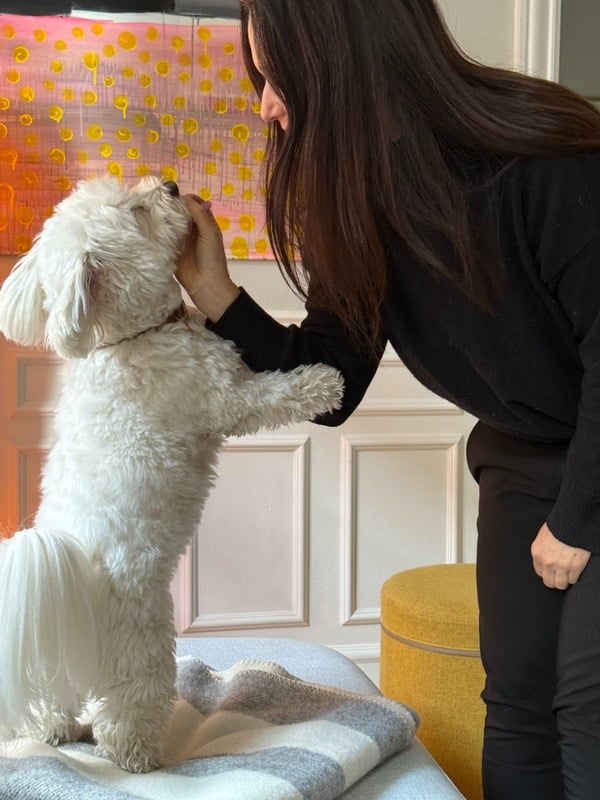 LuckyDogs startede med Buster, som er delehund