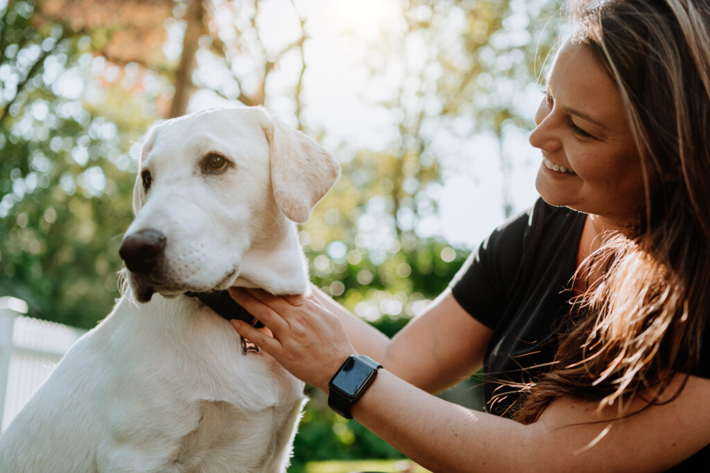 Find en delefamilie til din hund